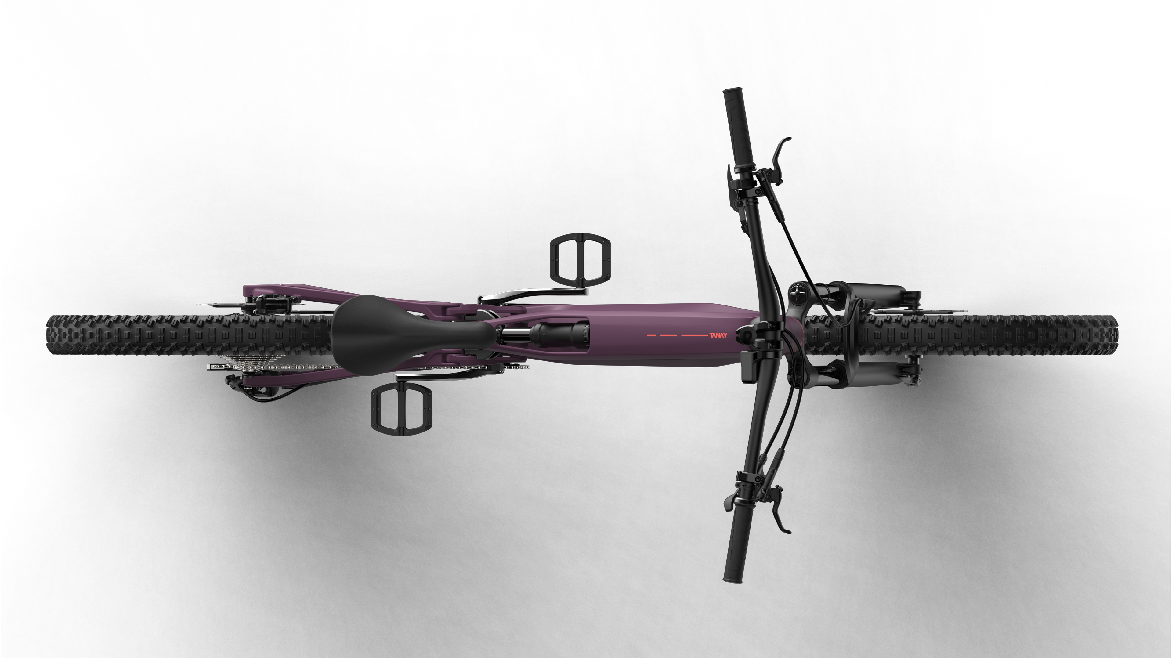 親株】P.Hillii Yot #16 Aor Chao（OC） P.Hillii Yot #16 Aor Chao 子株