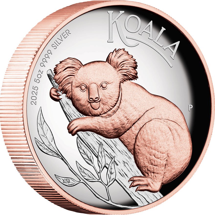 Side view of the Silver Koala 5 oz PF - Rose Gold Partly Gilded 2025