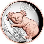 Front of the Silver Koala 5 oz PF - Rose Gold Partly Gilded 2025