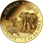 Front of the Gold Somalia Elephant 1 oz - 2026