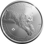 Front of the Silver Lynx 1 oz - Predator Series - 2017