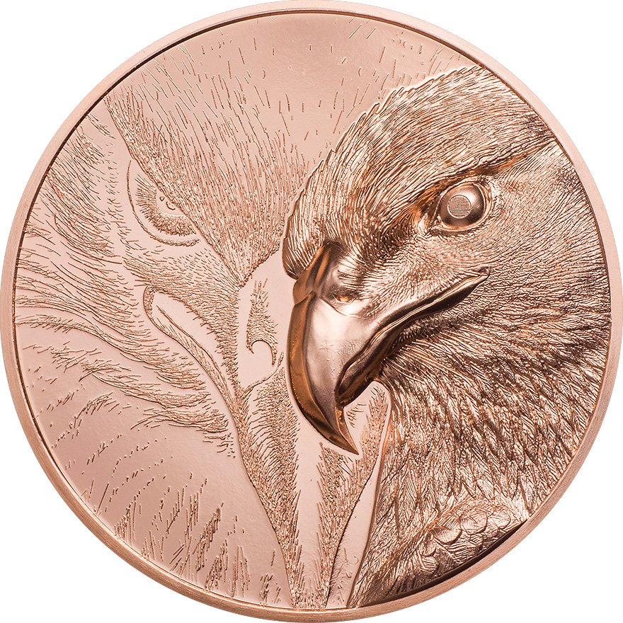 View 1: Kupfer Majestic Eagle 50g P - High Relief 2020