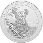 Silber Koala 10 oz - diverse Jahrgänge Front of the Silver Koala 10 oz - random years