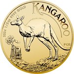 Gold Känguru 1/2 oz - 2024