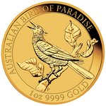 Front of the Gold Birds of Paradise - Manucodia Bird of Paradise 1oz 2019