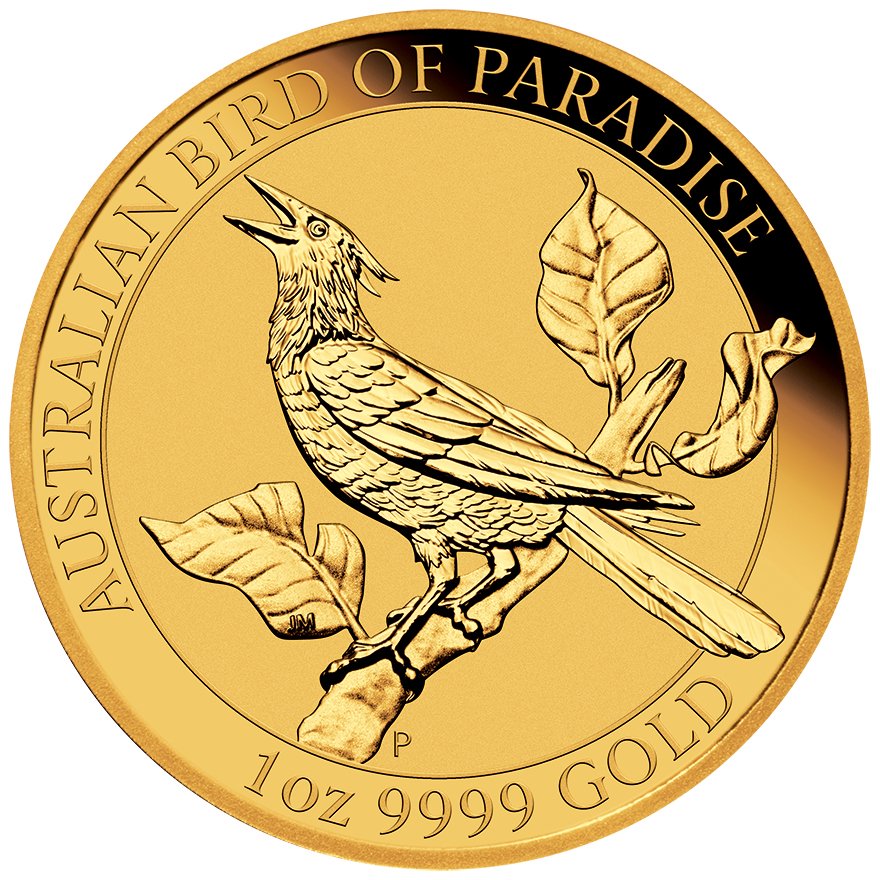 Front of the Gold Birds of Paradise - Manucodia Bird of Paradise 1oz 2019
