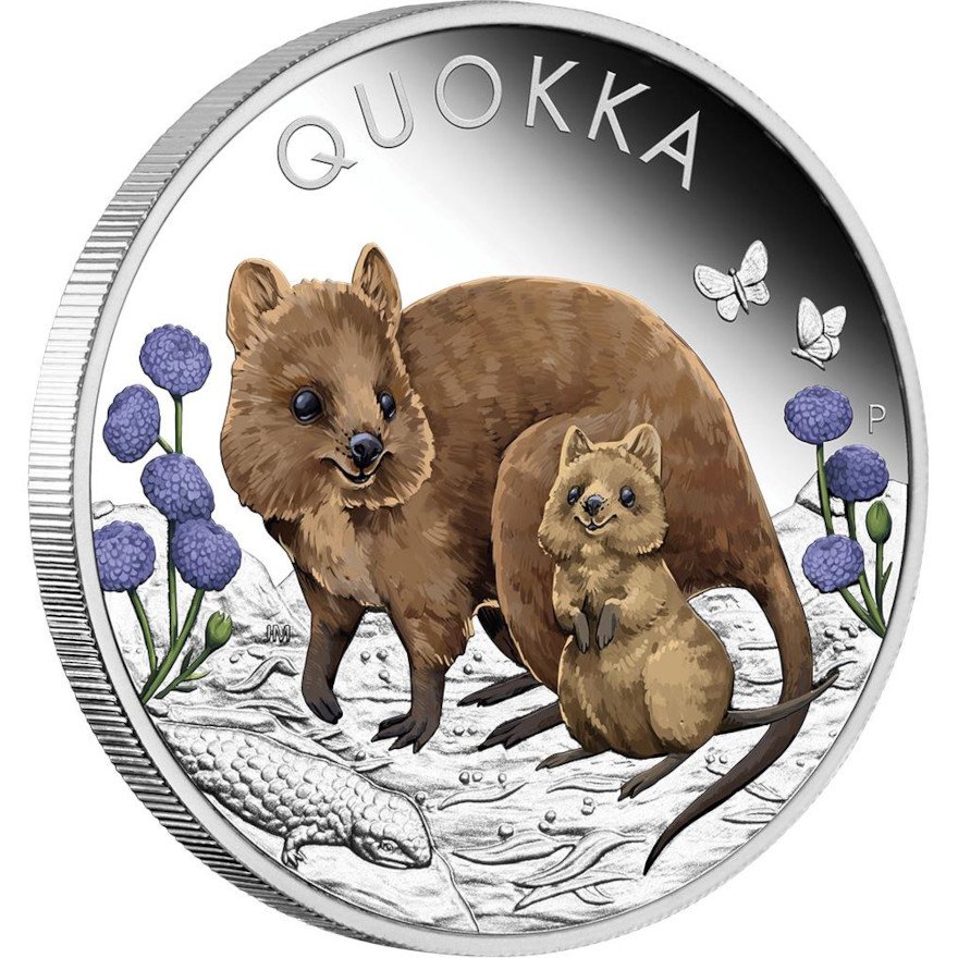 Side view of the Silver Quokka - 1 oz PF colored - 2022