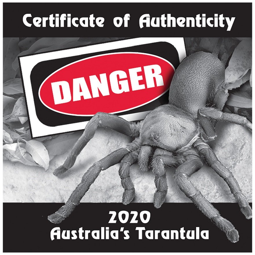 View 4: Silber Deadly & Dangerous - Tarantel 1 oz PP 2020