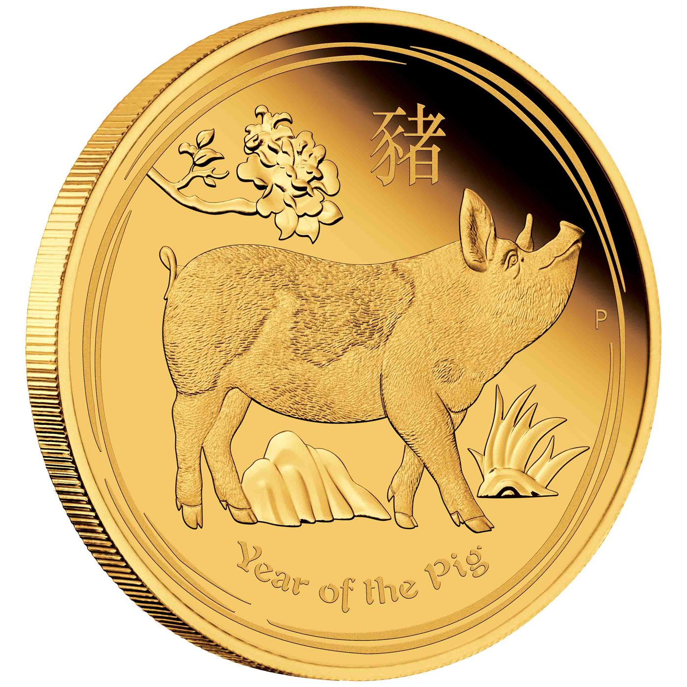 Side view of the Gold Lunar II Pig 1 oz PF - 2019
