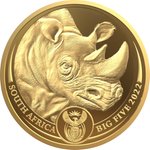Gold Nashorn 1 oz PP - Big Five Serie II - 2022 Front of the Gold Rhino 1 oz PP - Big Five Series II - 2022