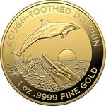 Gold Rough-Toothed Dolphin 1 oz - RAM 2023