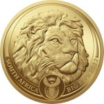 Gold Löwe 1 oz PP - Big Five Serie II - 2022 Front of the Gold Lion 1 oz PF - Big Five Series II - 2022