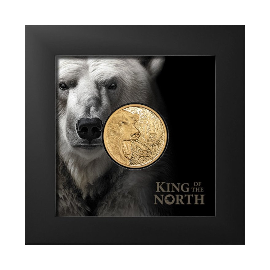 View 3: Gold King of the North - Polar Bear 1/4 oz PP - Ultra High Relief 2024