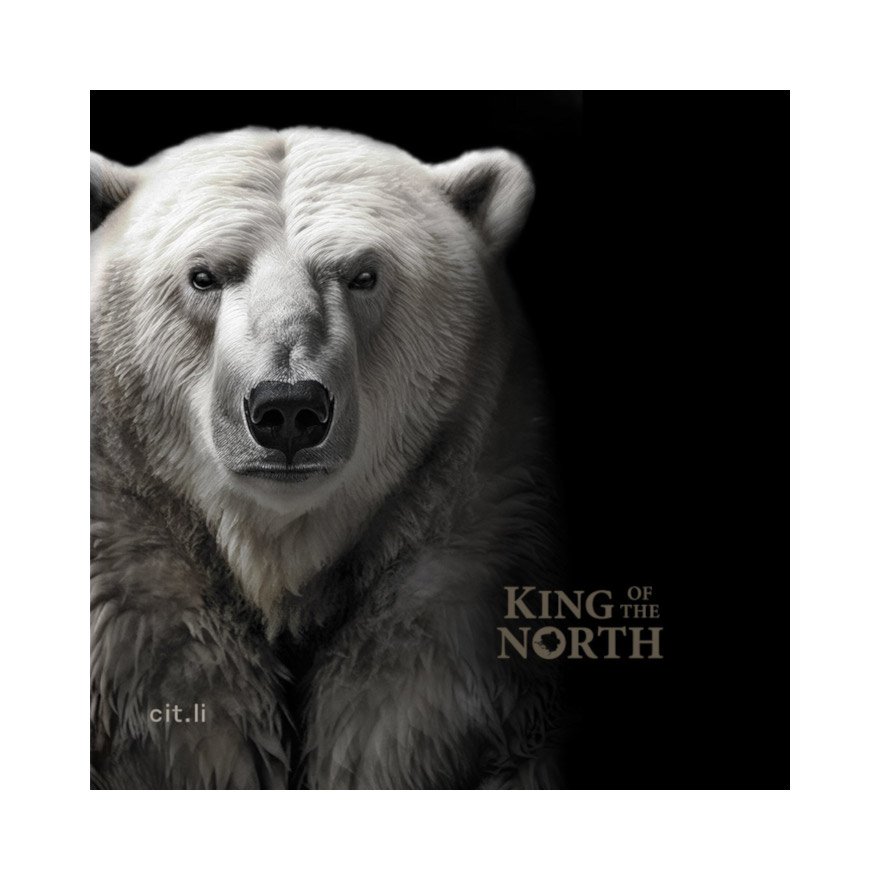 View 4: Gold King of the North - Polar Bear 1/4 oz PP - Ultra High Relief 2024