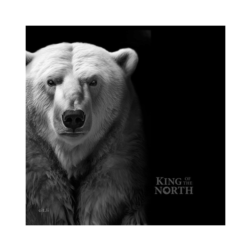View 4: Silber King of the North - Polar Bear 1 oz PP - Ultra High Relief 2024