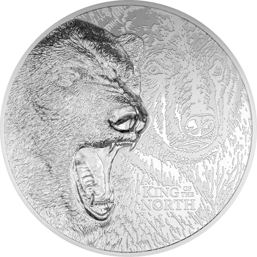 View 1: Silber King of the North - Polar Bear 1000 g PP - Ultra High Relief 2024