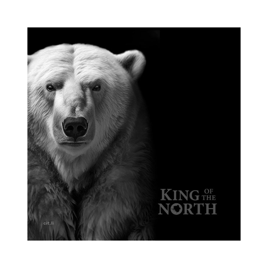 View 4: Silber King of the North - Polar Bear 1000 g PP - Ultra High Relief 2024