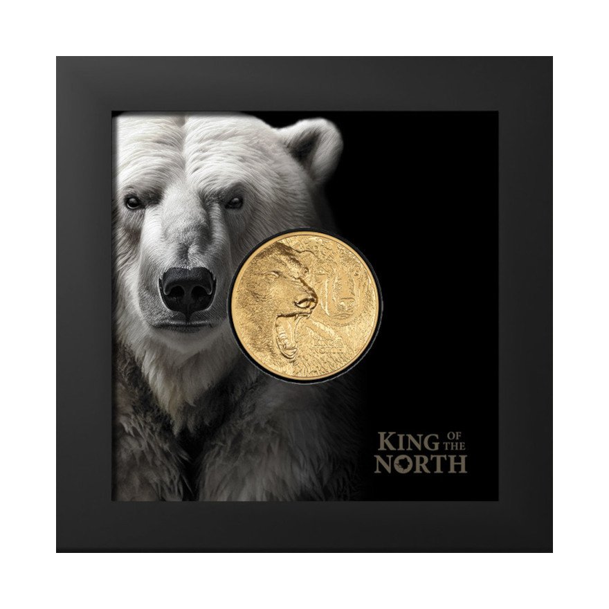 View 3: Gold King of the North - Polar Bear 1 oz PP - Ultra High Relief 2024