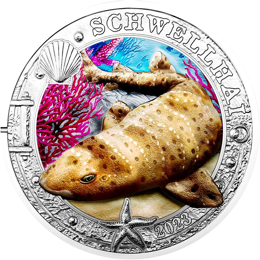 View 1: CuNi Leuchtende Meereswelten "Schwellhai" 3 EUR UN - 2023
