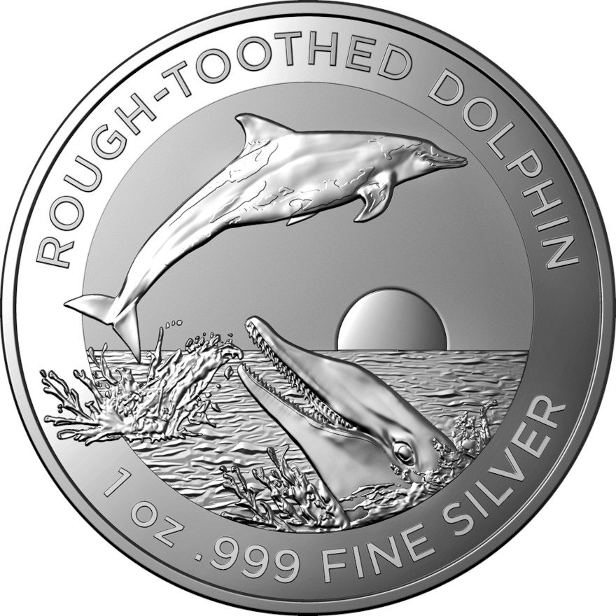 View 1: Silber Rough-Toothed Dolphin 1 oz - RAM 2023