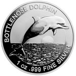 Silber Bottlenose Dolphin 1 oz - RAM 2019
