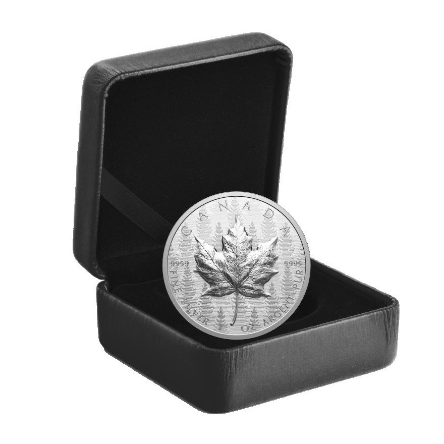 View 4: Silber Maple Leaf 1 oz RP - Ultra High Relief 2024