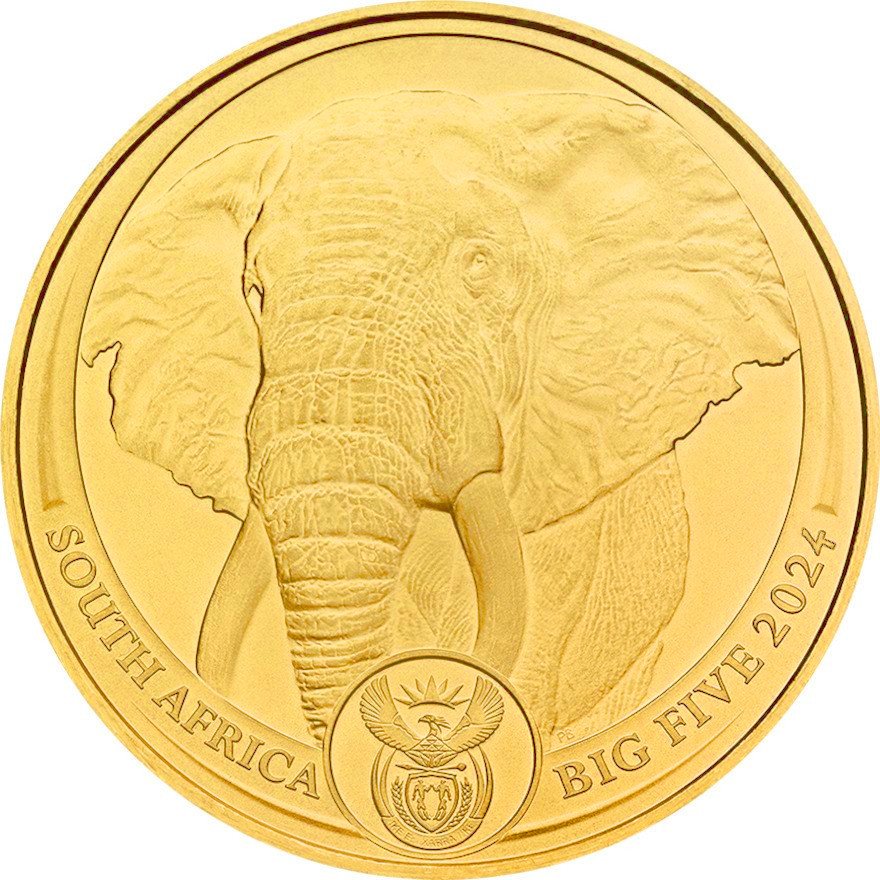 View 1: Gold Elefant 1 oz - Big Five 2024