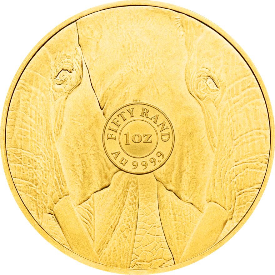 View 2: Gold Elefant 1 oz - Big Five 2024