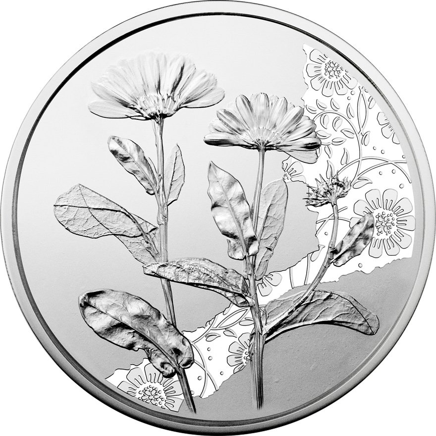 View 1: Silber Ringelblume 10 EUR HGH AUT - 2022