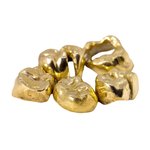 1 g Dentalgold 600