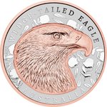 Front of Silver Wedge Tailed Eagle 1 oz Super Incused 2026