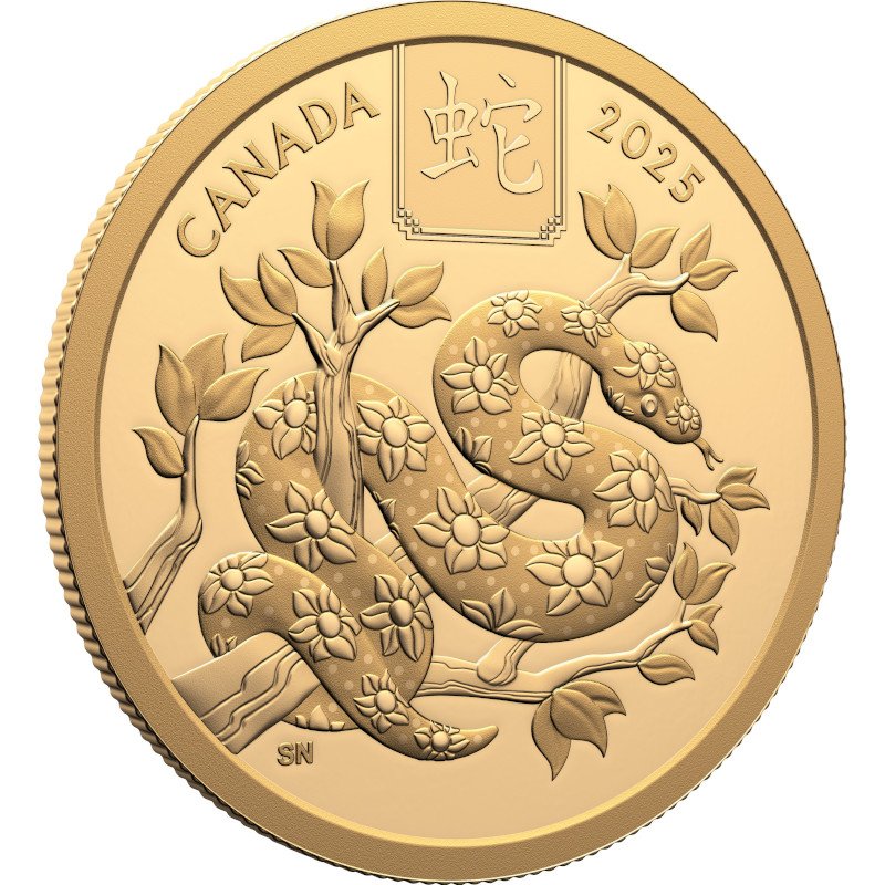 View 2: Gold Lunar Schlange 15 g PP - Royal Canadian Mint 2025