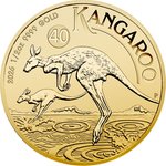 Front of the Gold Kangaroo 1/2 oz - 2026
