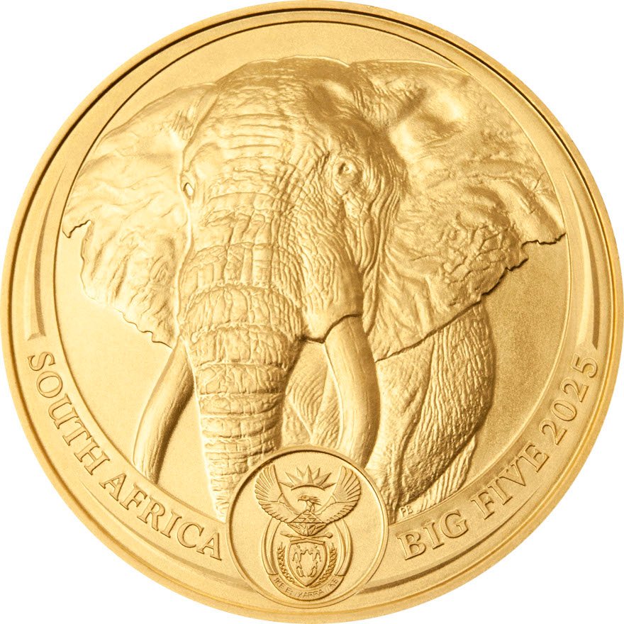 Front of the Gold Elephant 1 oz - Big Five 2025