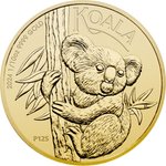 Front of the Gold Koala 1/10 oz - 2024