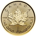 Gold Maple Leaf 1/20 oz - 2025