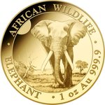 Gold Somalia Elefant 1 oz - 2025