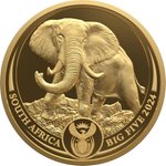 Gold Elefant 1/4 oz PP - Big Five Serie III - 2024