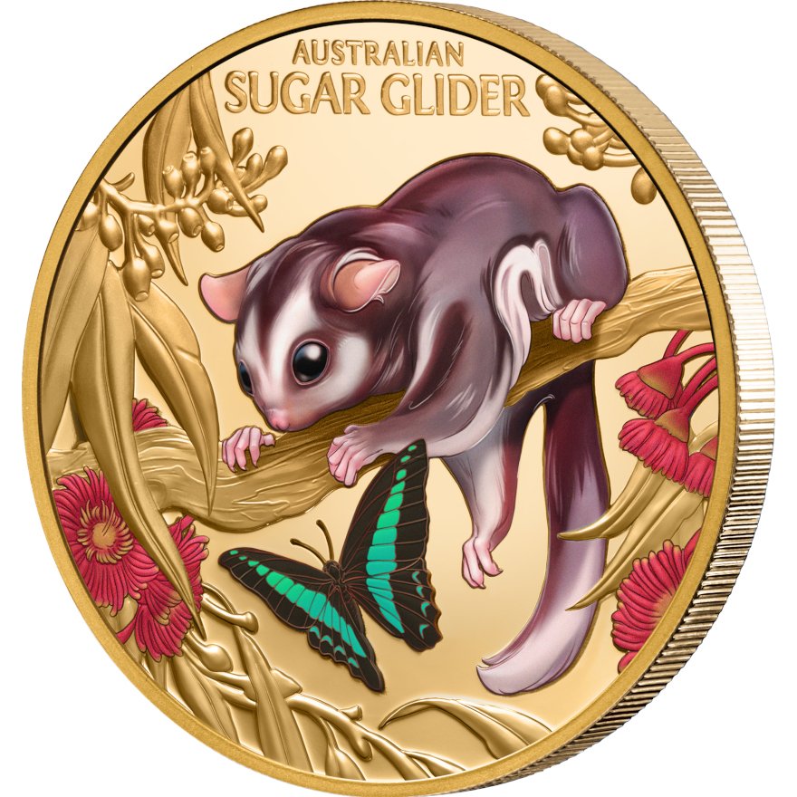 Side view of Gold Cute & Cuddly 1 oz Proof - Baby Sugar Glider 2026
