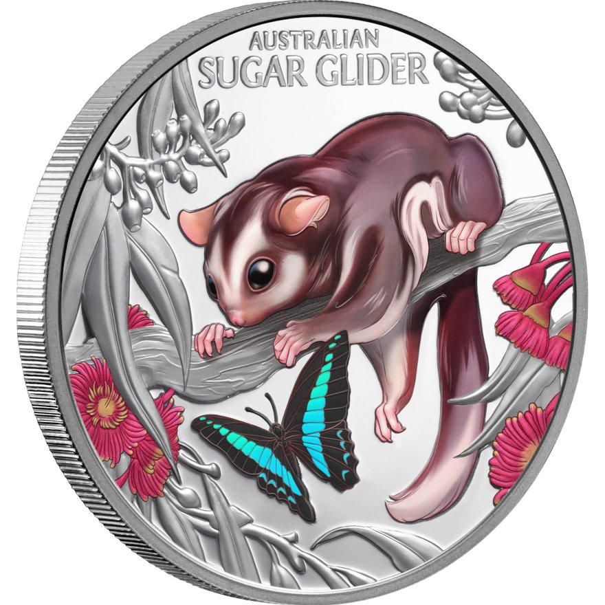 Side view of Silver Cute & Cuddly 1 oz Proof - Baby Sugar Glider 2026