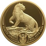 Front of Gold Big5 Leopard 2026 Proof