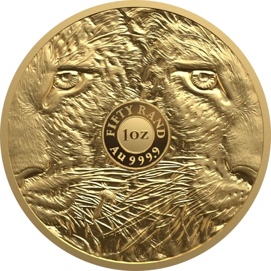 Back of Gold Big5 Leopard 2026 Proof