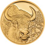 Gold Bison 1/10 oz PP - High Relief 2025