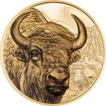 Gold Bison 1 oz PP - High Relief 2025