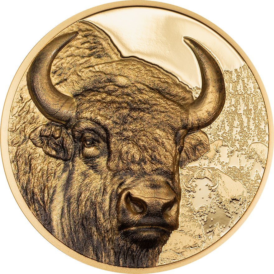 View 1: Gold Bison 1 oz PP - High Relief 2025