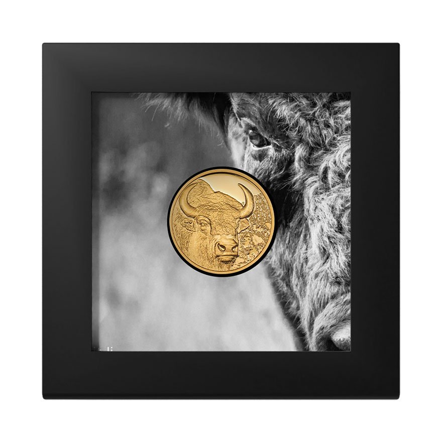 View 4: Gold Bison 1/10 oz PP - High Relief 2025