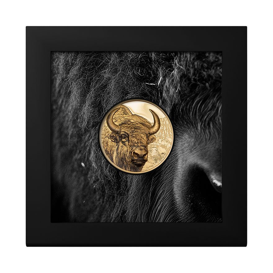 View 4: Gold Bison 1 oz PP - High Relief 2025