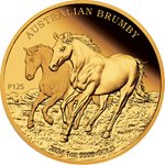 Front of the Gold Australian Brumby 1 oz PF - 2024