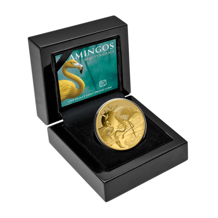 Coin Case of Gold Flamingo 1 oz Proof 2025