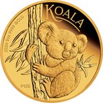 Gold Koala 5 oz PP - 2024